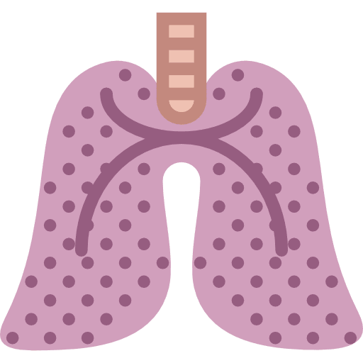 Lungs anatomy lung breath icon