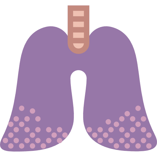 Lungs medical anatomy organ icon