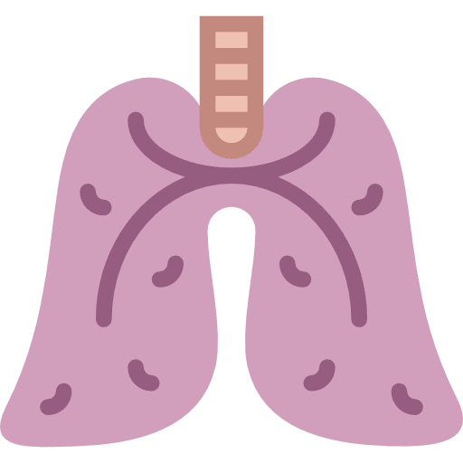 Lungs organ anatomy lungs icon