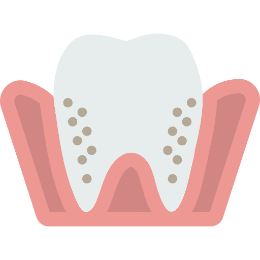 Molar dentist mouth molar icon