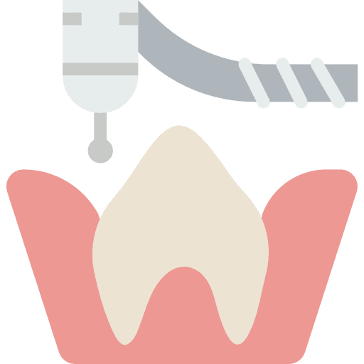 Molar dental medical mouth icon