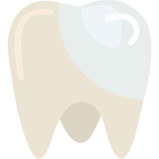 Molar dental mouth medical icon