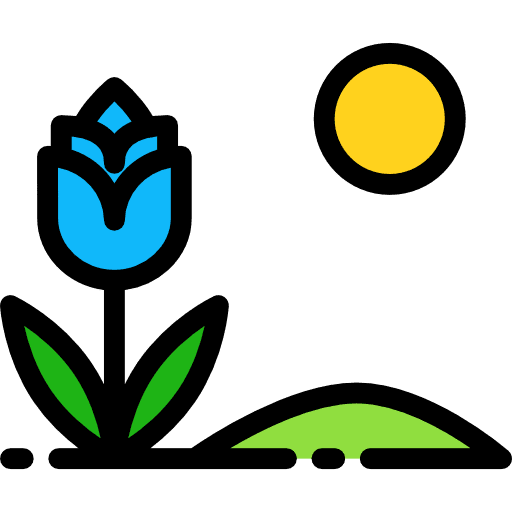 Flower rose petals flower icon