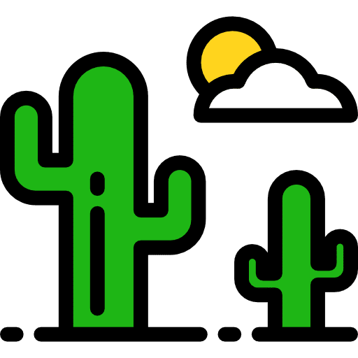 Desert nature cactus desert icon