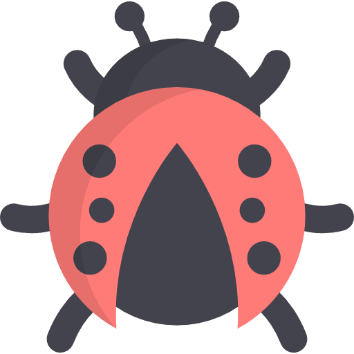 Ladybug ladybug insect animal kingdom icon