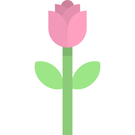 Tulip garden botanical blossom icon