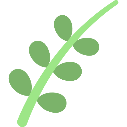 Willow willow plant nature icon