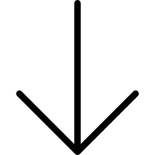 Down arrow lower direction orientation icon