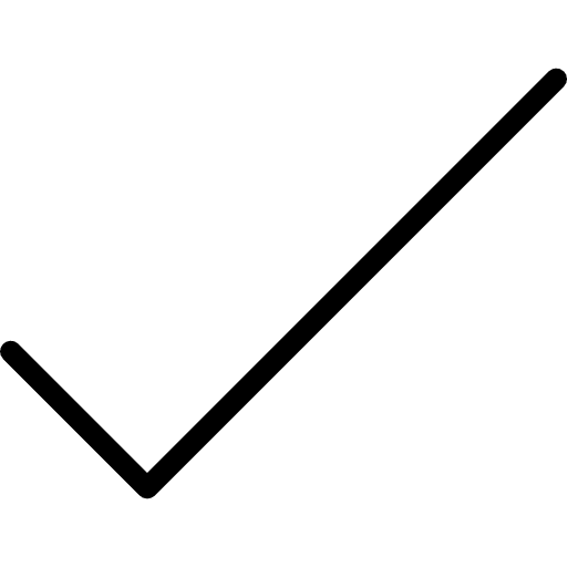 Check v checked interface icon