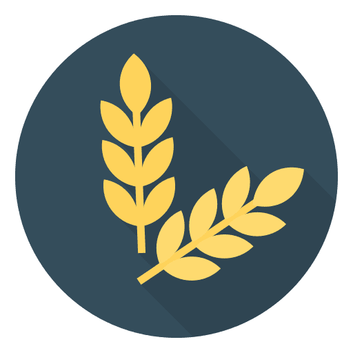 Wheat grain cooking wheat icon