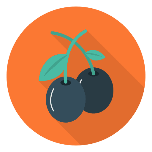 Blueberry fruit nutrition organic icon