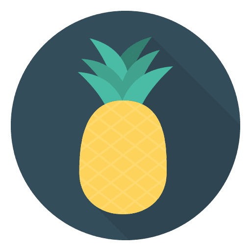 Pineapple food fruit natural icon