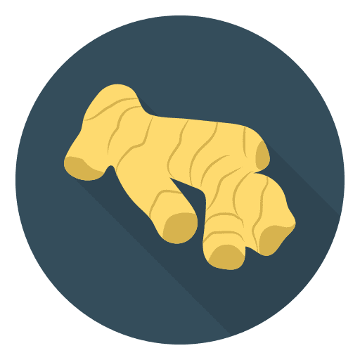 Ginger nutrition food and restaurant ripe icon