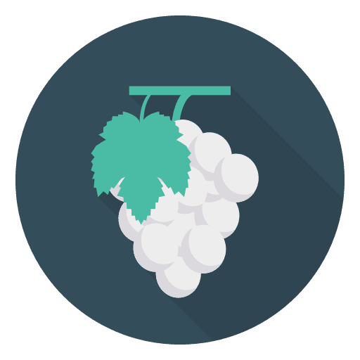Grapes fruit grape healthy food icon