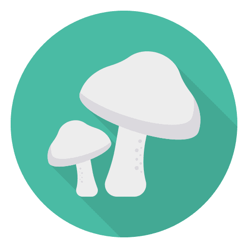 Mushrooms mushroom fungi mushrooms icon