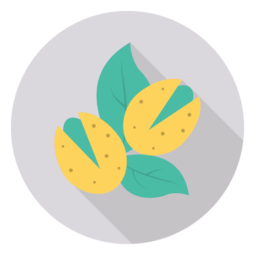 Nut vegan nuts food and restaurant icon