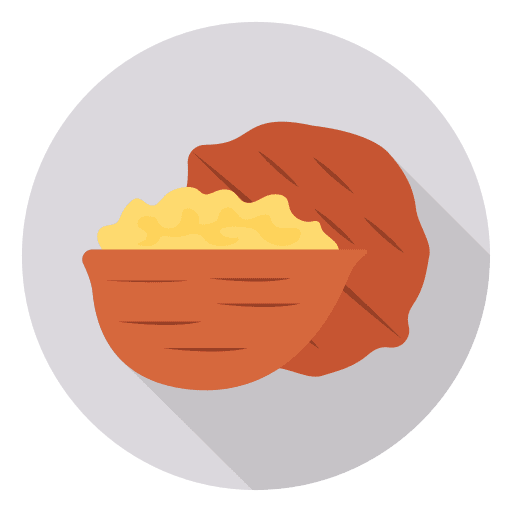 Nuts snacks vegetarian organic icon