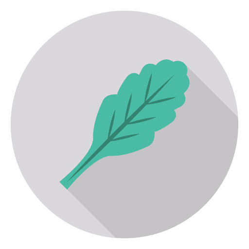Oak leaf garden food and restaurant plant icon