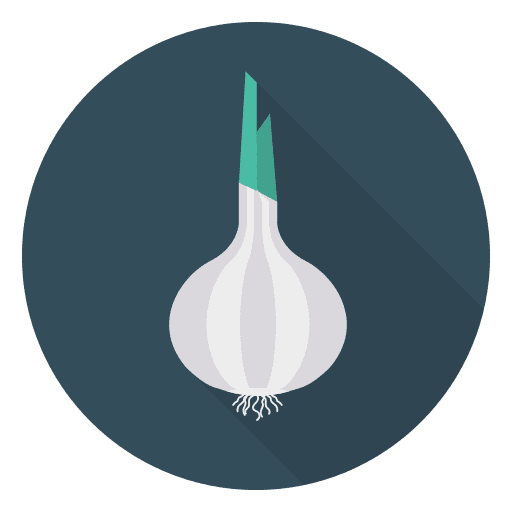 Onion food vegetable vegan icon