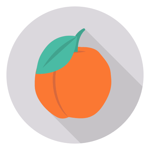 Orange vegetarian fruit vegan icon