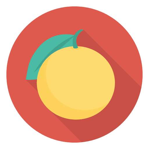 Orange vegetarian organic orange icon