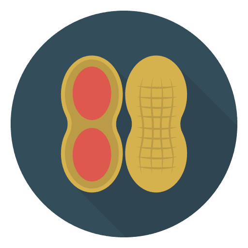 Peanuts organic vegetarian peanuts icon