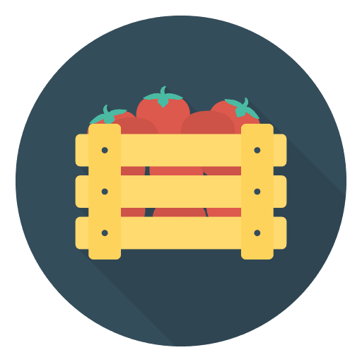 Tomato diet food vegan icon