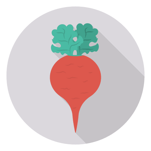 Turnip vegetarian food and restaurant food icon