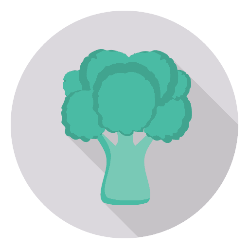 Broccoli food vegan broccoli icon