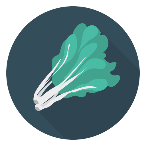 Broccoli foods vegetarian vegetables icon