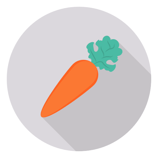 Carrot vegetarian food healthy food icon