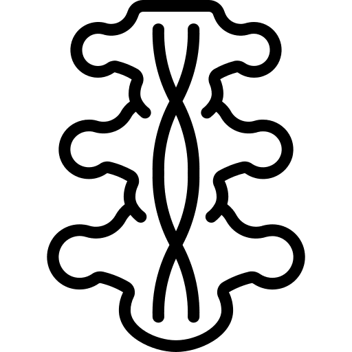 Spinal cord medical healthcare and medical nerves icon Spinal cord medical healthcare and medical nerves icon