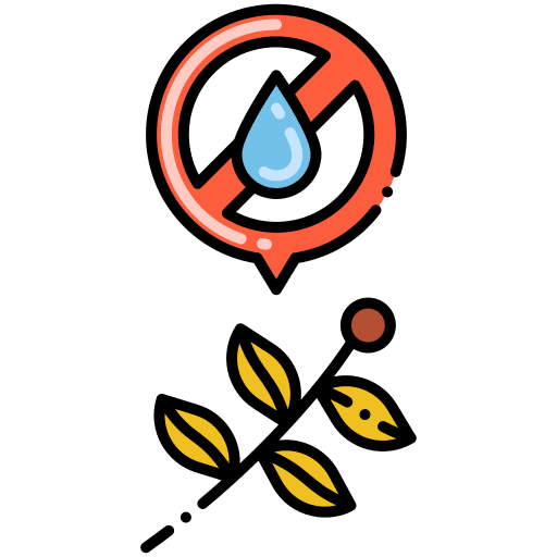 Herbs leaves dry herbal icon