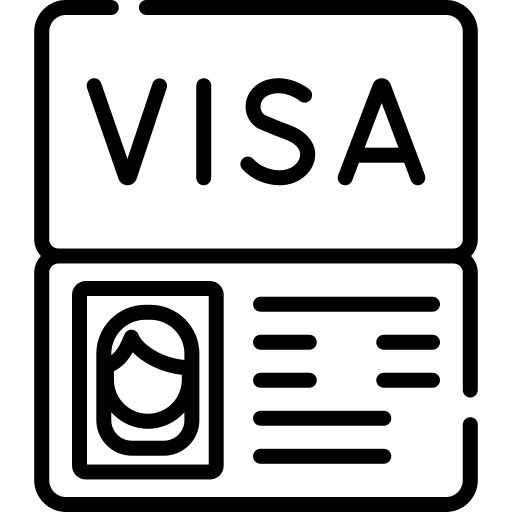 Visa passport visa user icon