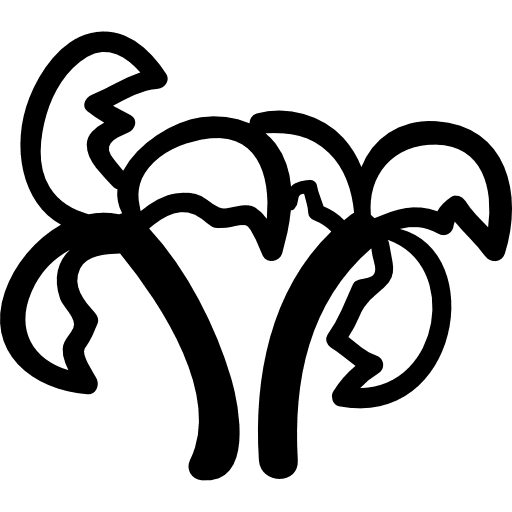 Palm trees couple couple two hand drawn icon