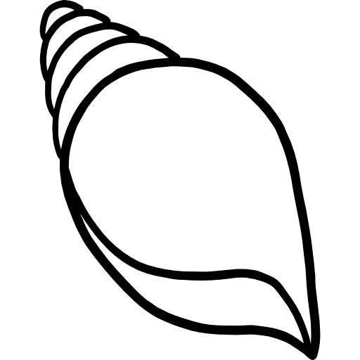 Seashell animals aquatic seashell icon