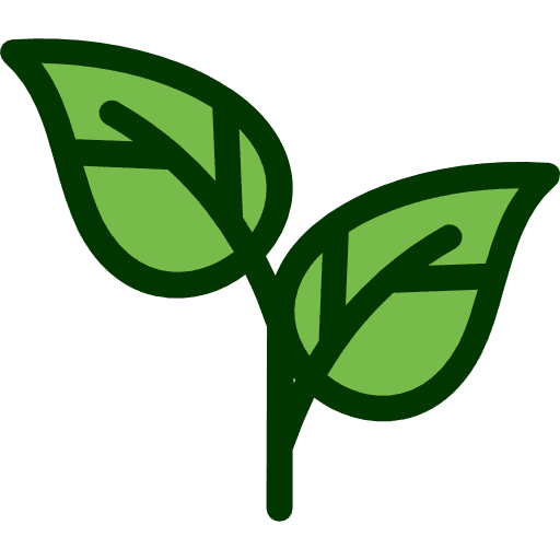 Leaf botanical nature garden icon