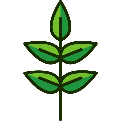 Leaf holidays botanical plant icon Leaf holidays botanical plant icon