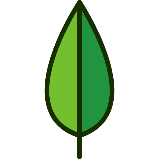 Leaf plant leaf botanical icon
