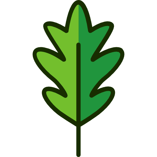 Leaf plant nature botanical icon Leaf plant nature botanical icon