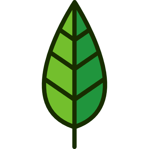 Leaf botanical leaf holidays icon Leaf botanical leaf holidays icon