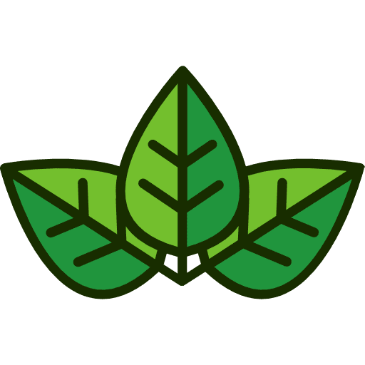 Leaf botanical leaf plant icon Leaf botanical leaf plant icon