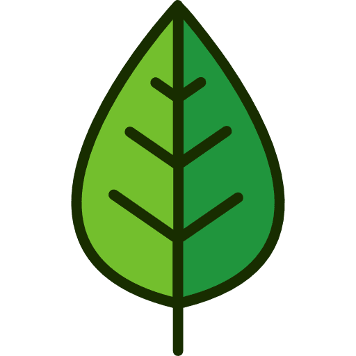 Leaf botanical nature leaf icon Leaf botanical nature leaf icon