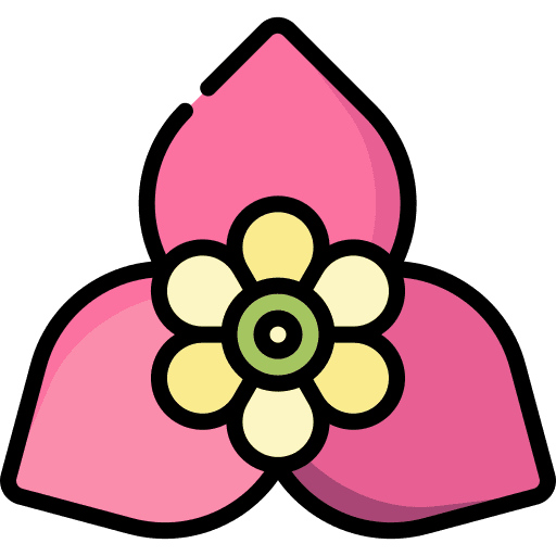Bougainvillea nature jungle botanical icon