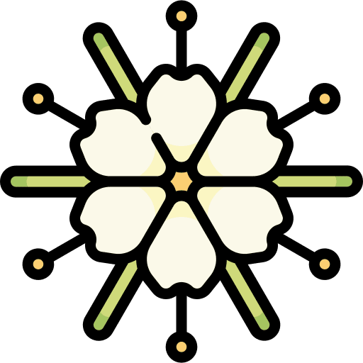 Spider flower petals jungle icon