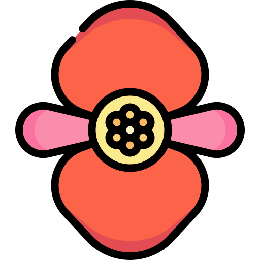 Begonia flower botanical jungle icon