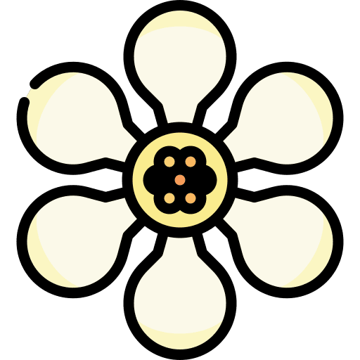 Ficus petals blossom nature icon