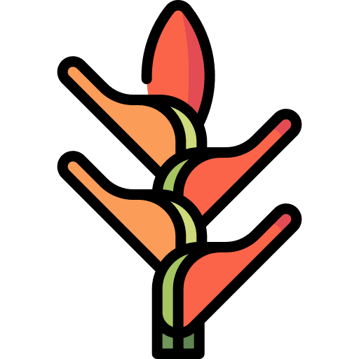 Heliconia nature blossom botanical icon