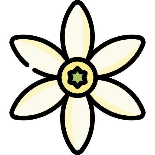 Jasmine nature flower petals icon