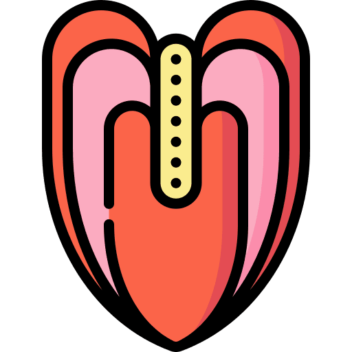 Anthurium petals botanical jungle icon